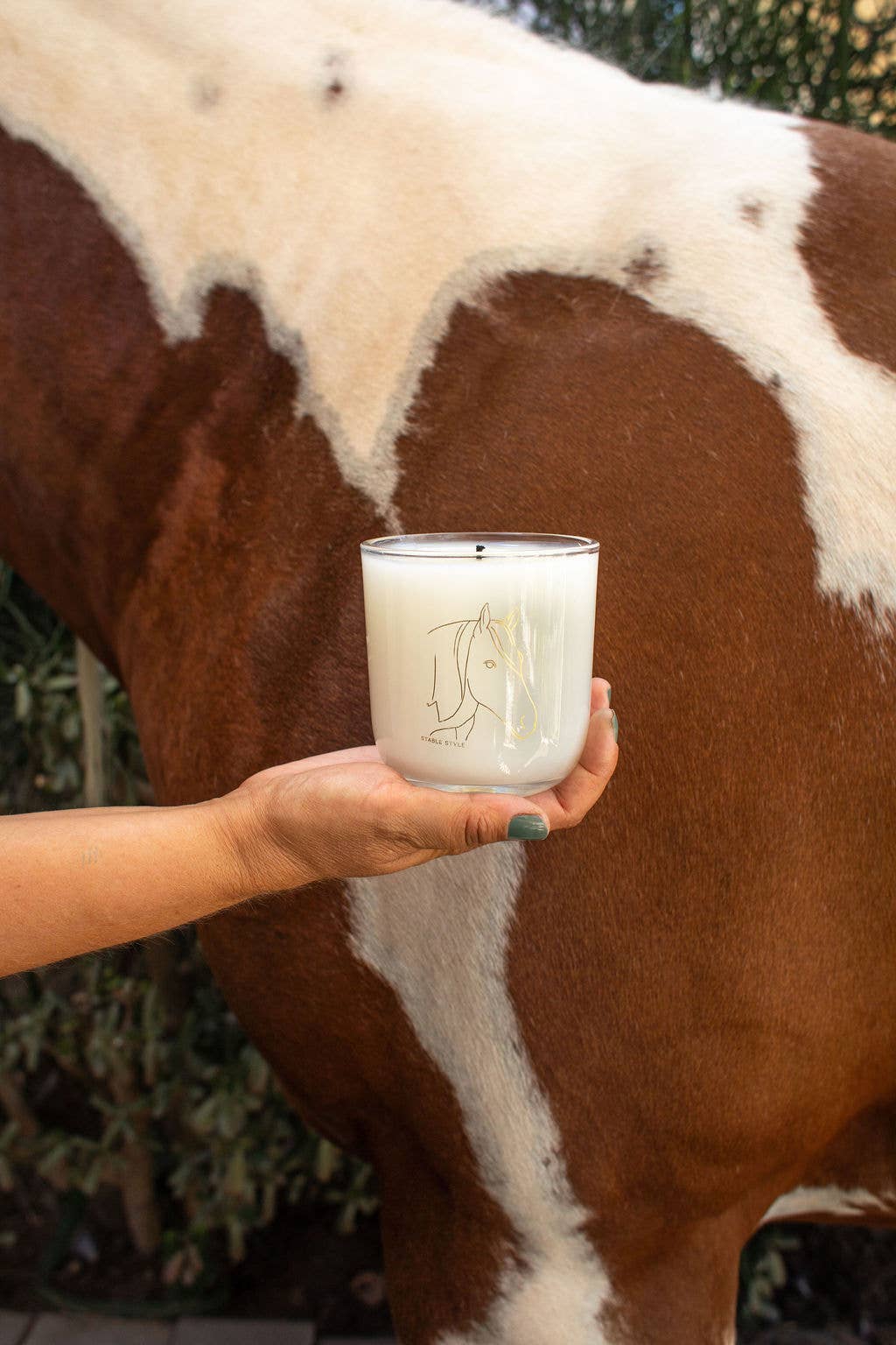 Horse Soy Wax Candle - Spirit