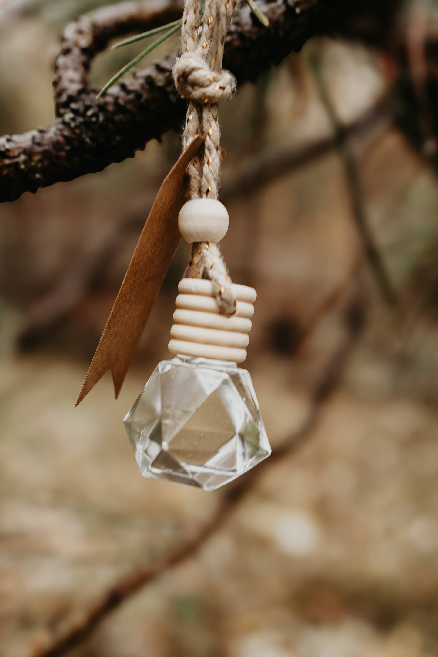 PNW Inspired Scent Non-Toxic Car Freshener