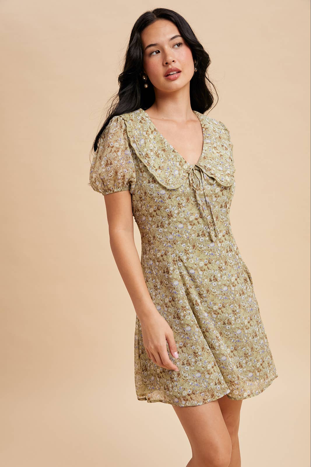 Floral Doll Collar Mini Dress
