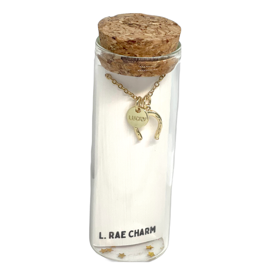 Horseshoe Lucky Charm Gold Necklace