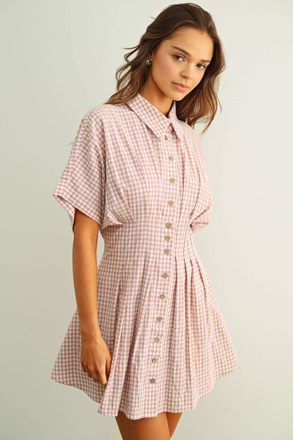Gingham Shirt Dress