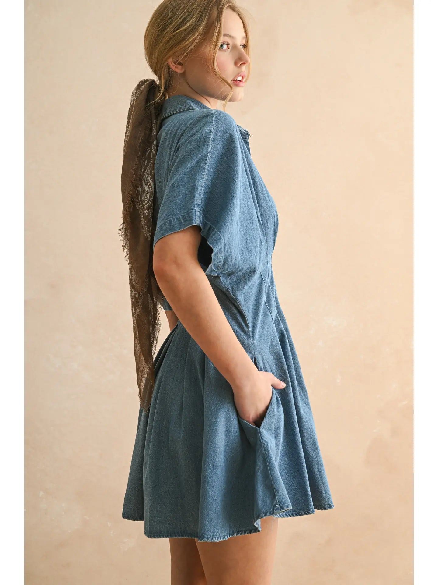 Chambray Denim Button Dress