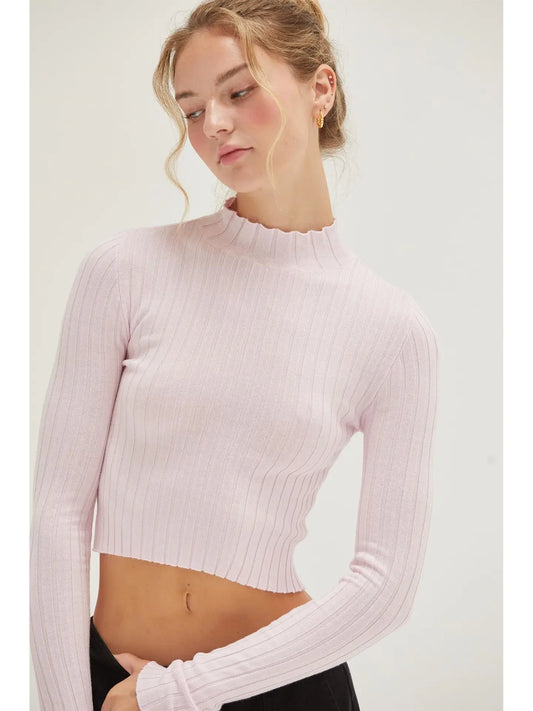 Ribbed Knit Crop Top