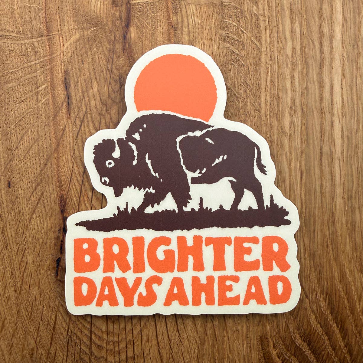 Brighter Days Ahead Bison Matte Vinyl Sticker