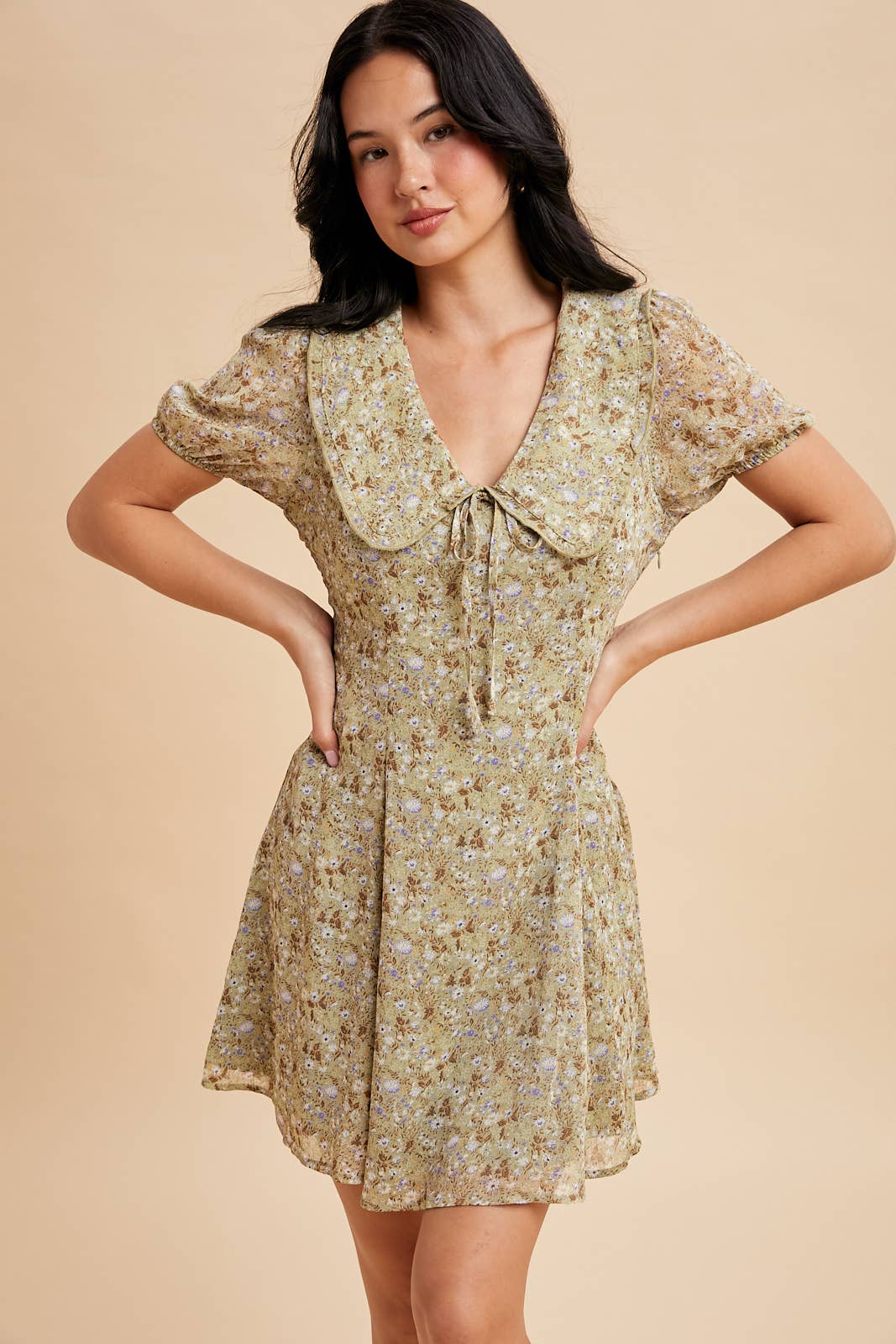 Floral Doll Collar Mini Dress