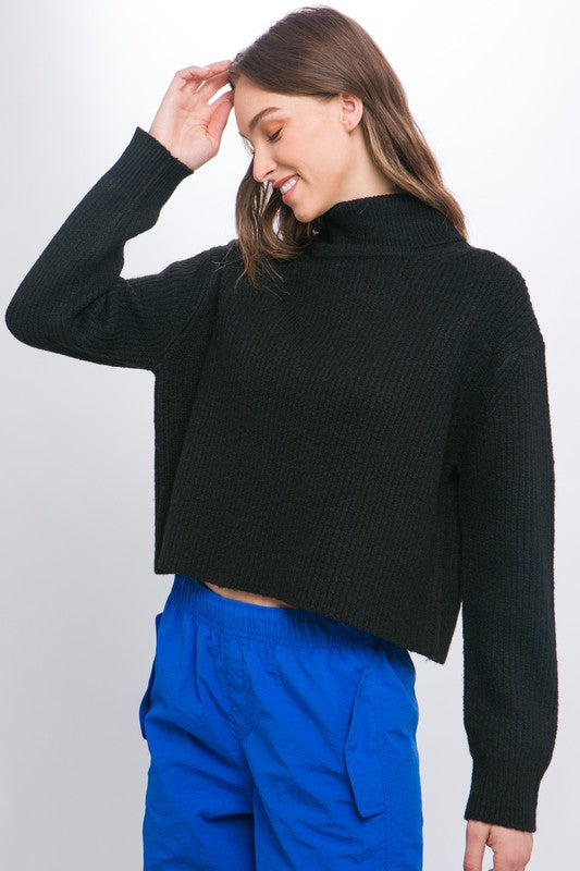 Turtle Neck Crop Sweater