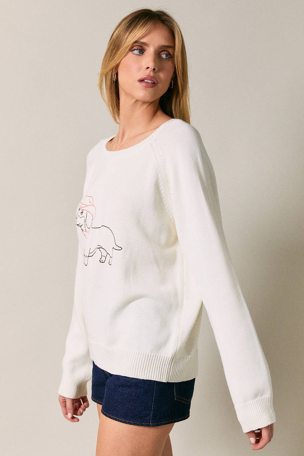 Raglan Long Sleeve "Cowboy Dog" Graphic Stitch Sweater