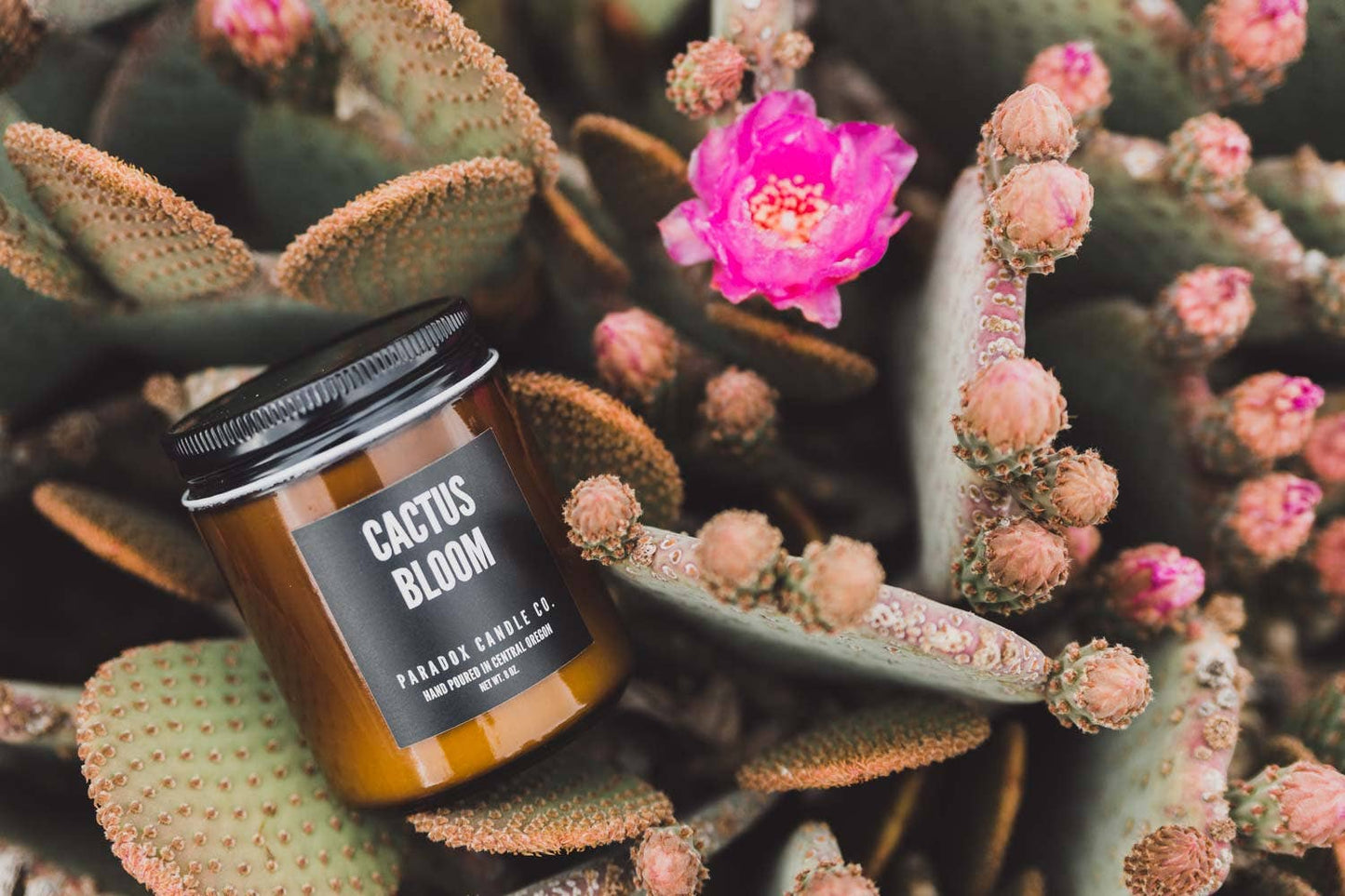 CACTUS BLOOM CANDLE 8OZ